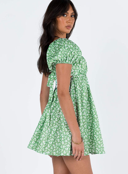 Let's Dance Mini Dress Green Floral