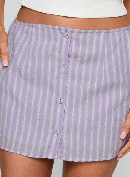 Told You So Mini Skirt Multi