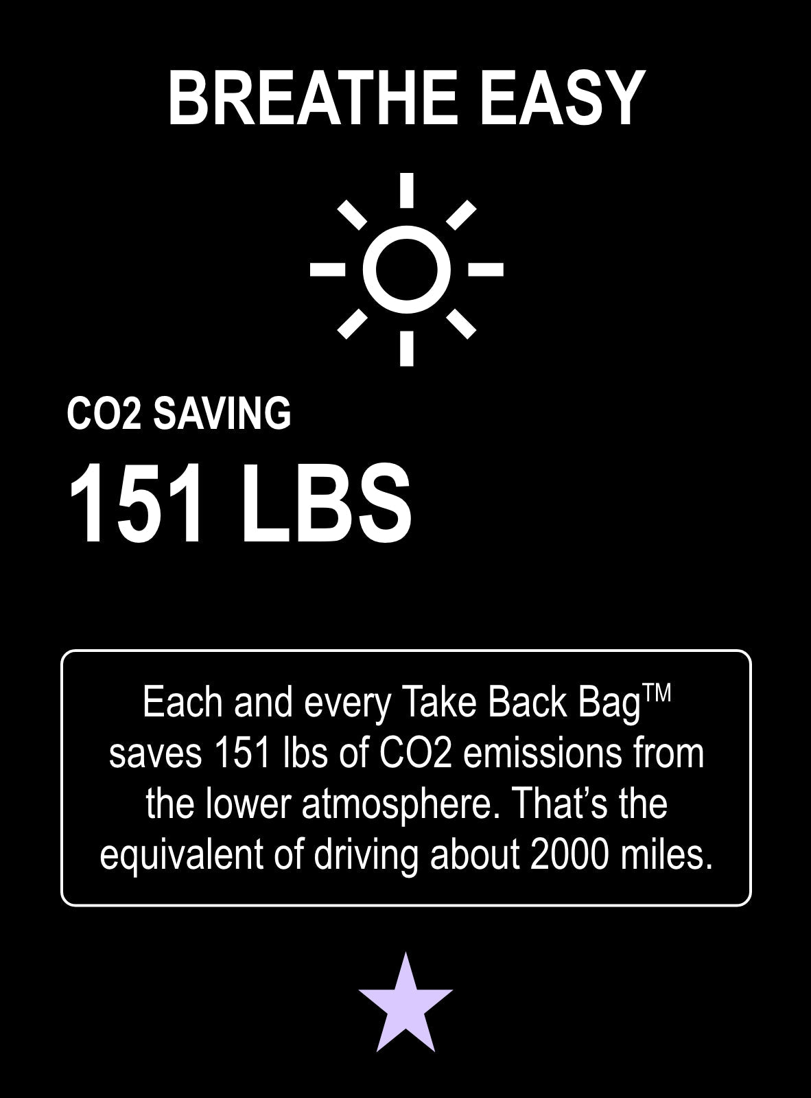 Take Back Bag